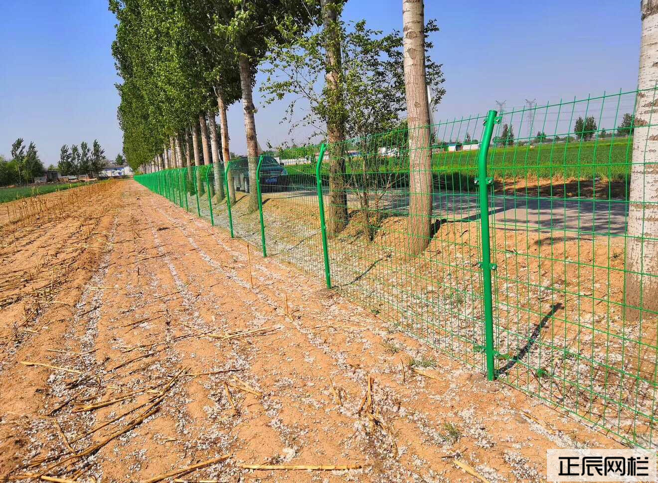 圈地護(hù)欄網(wǎng)