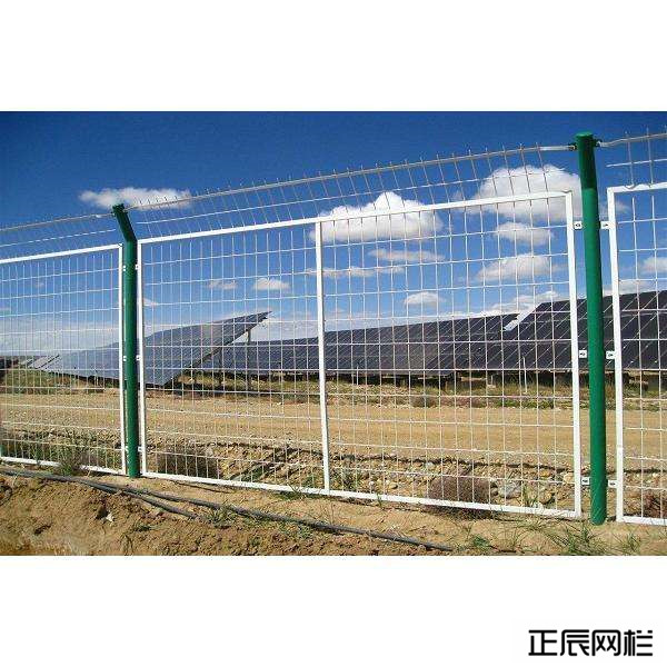 1638495120836296.jpg 2 (1).jpg