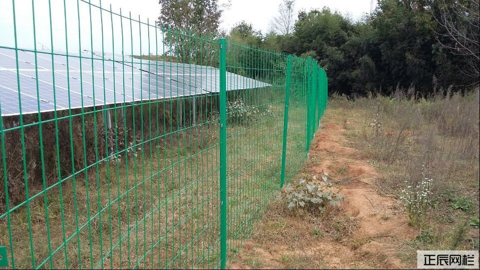 1638495150233821.jpg timg (3).jpg