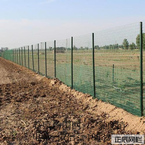 1646786290151018.jpg 牧場(chǎng)圍欄網(wǎng)