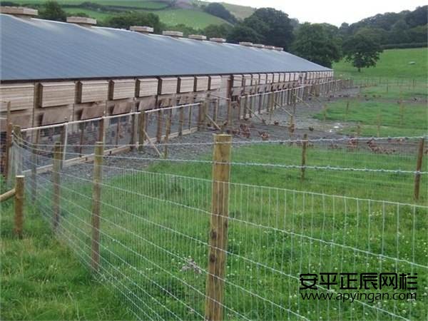 1657073045109287.jpg timgss.jpg