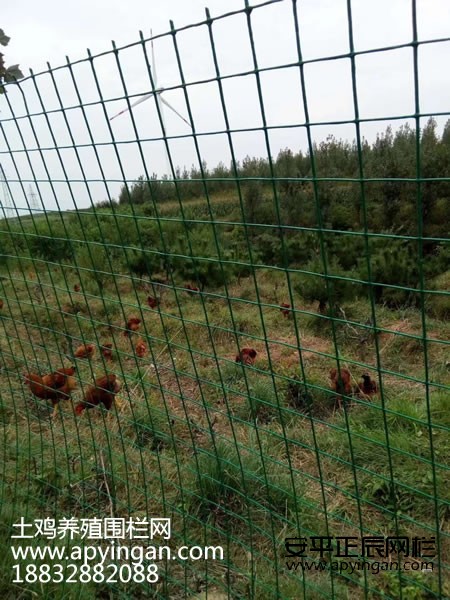 1658971638147198.jpg 未命名-1.jpg