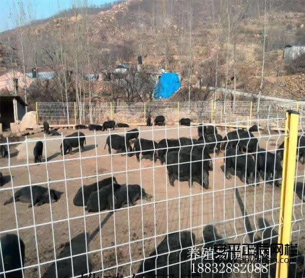 1665452986671004.jpg timg.jpg