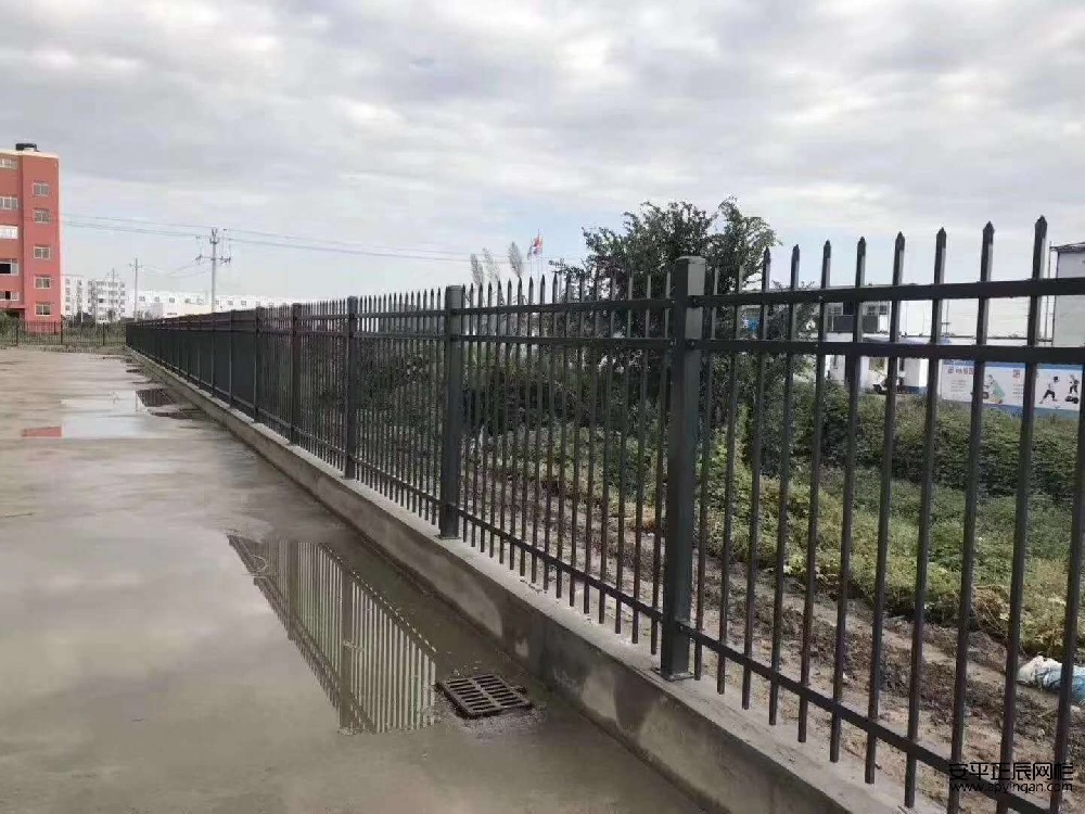 市政園林防護(hù)網(wǎng)