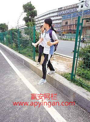 護(hù)欄網(wǎng)