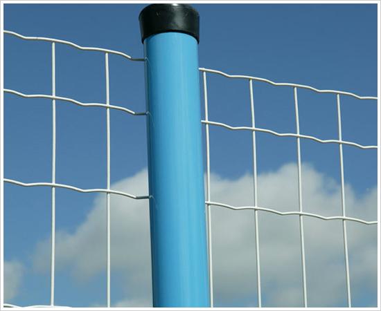 荷蘭網(wǎng)護(hù)欄