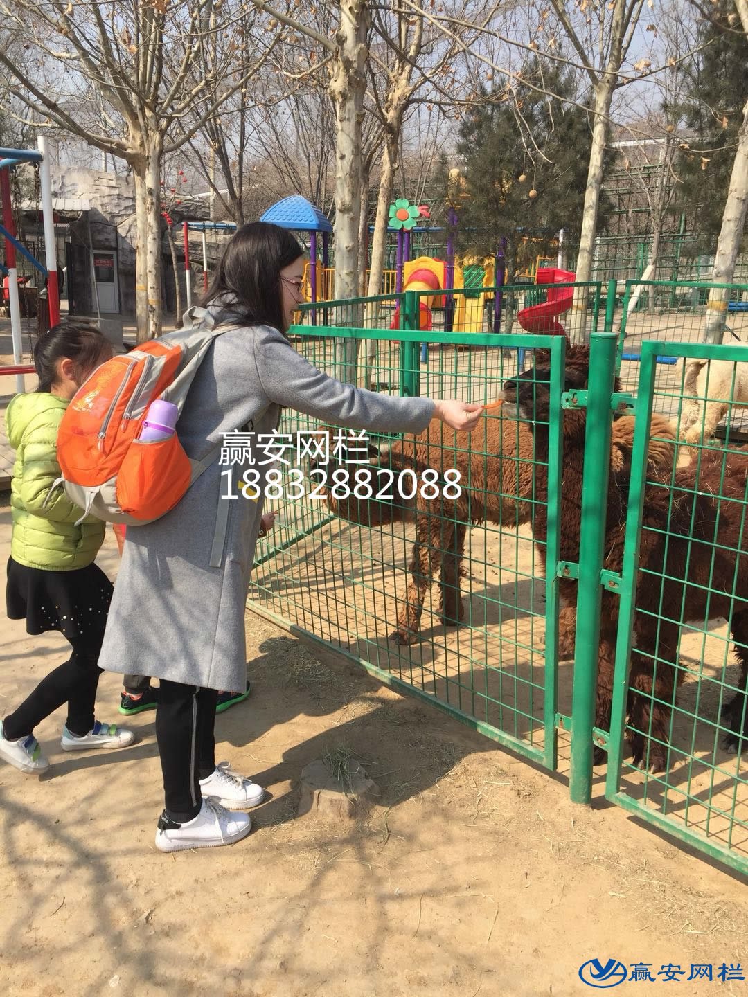 動物園圍欄網(wǎng)