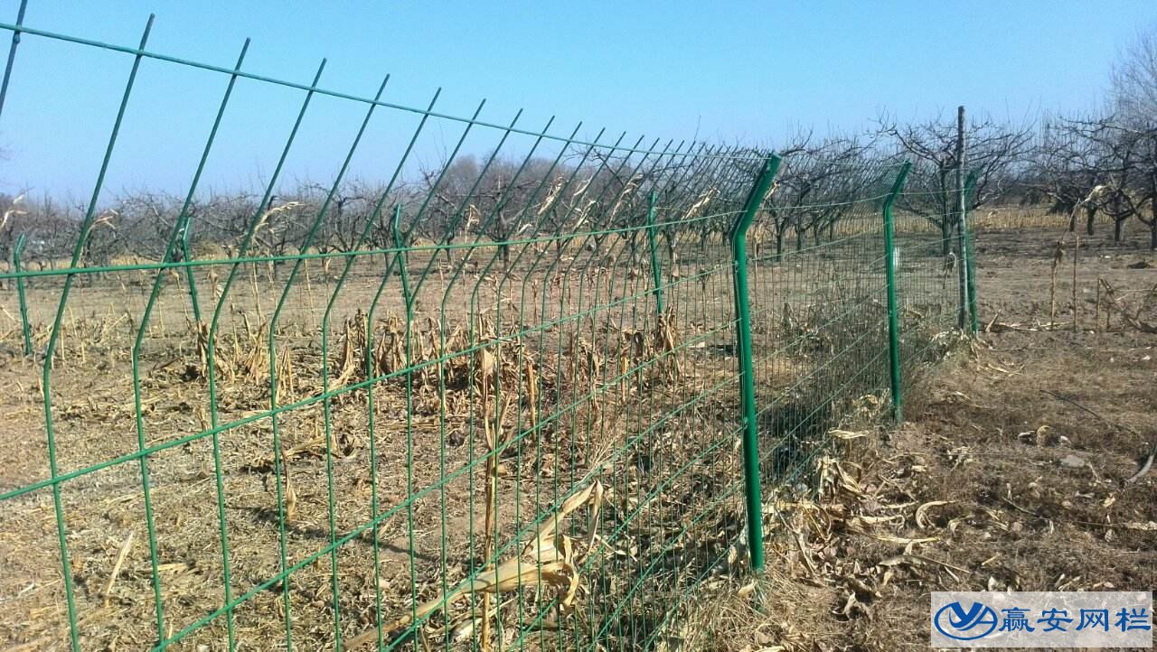 菜園圍欄網(wǎng)