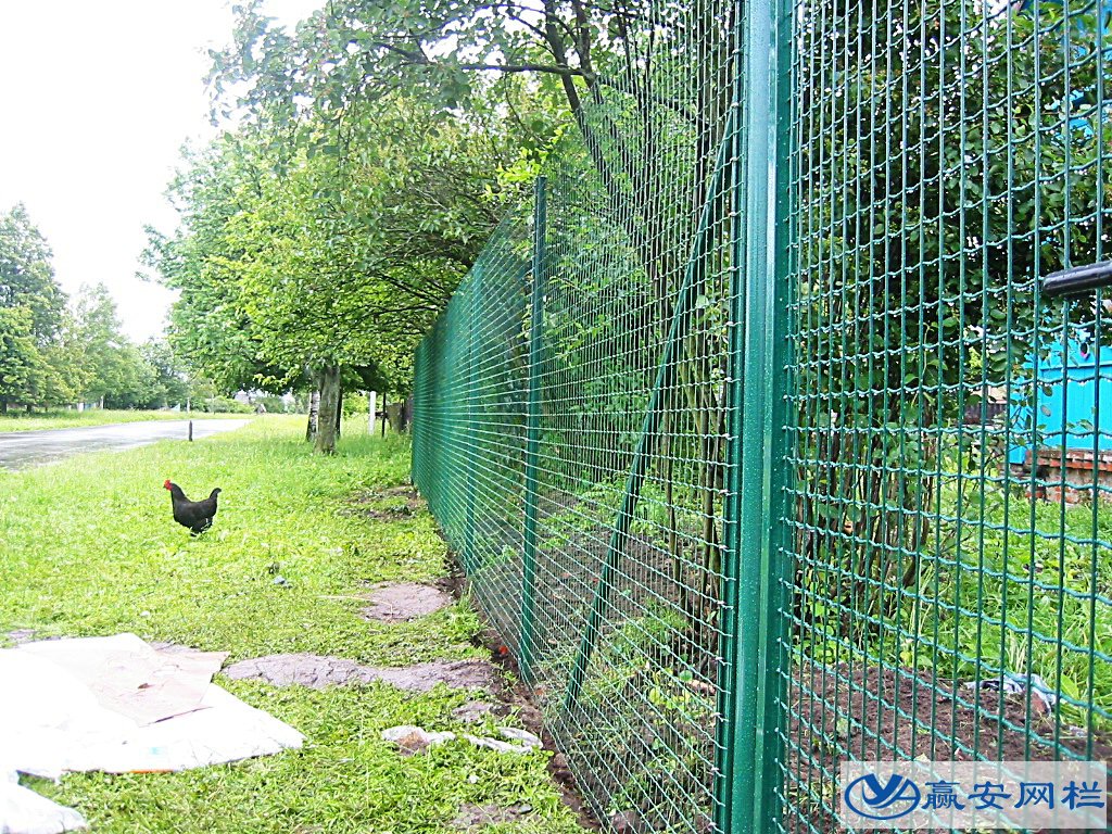 養(yǎng)殖圍欄網(wǎng)
