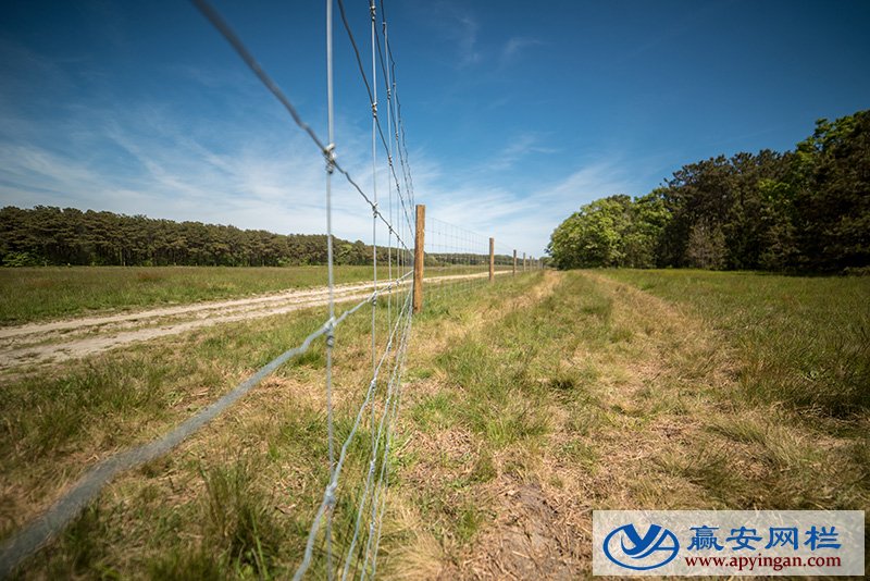 鐵絲圍欄網(wǎng)