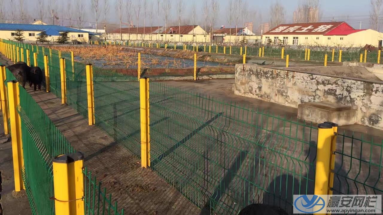 養(yǎng)豬場護(hù)欄網(wǎng) 養(yǎng)豬護(hù)欄網(wǎng)