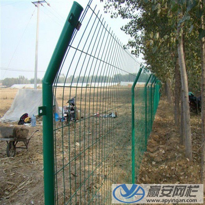 農(nóng)村圈地圍欄網(wǎng) 圈地圍欄網(wǎng)