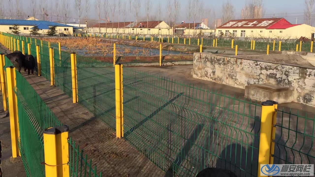 三角折彎式養(yǎng)殖場鐵絲網(wǎng) 養(yǎng)殖場鐵絲網(wǎng)