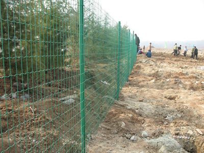 養(yǎng)雞場圍欄網(wǎng)