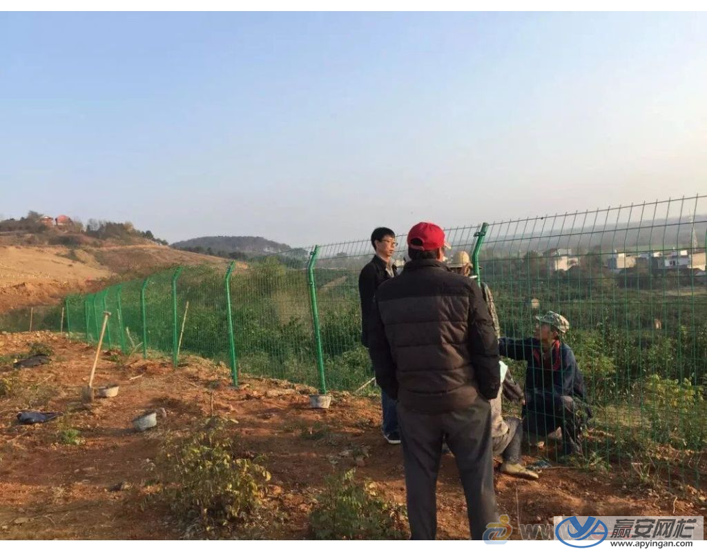 正在修補(bǔ)破損的圍欄網(wǎng) 圍欄網(wǎng)