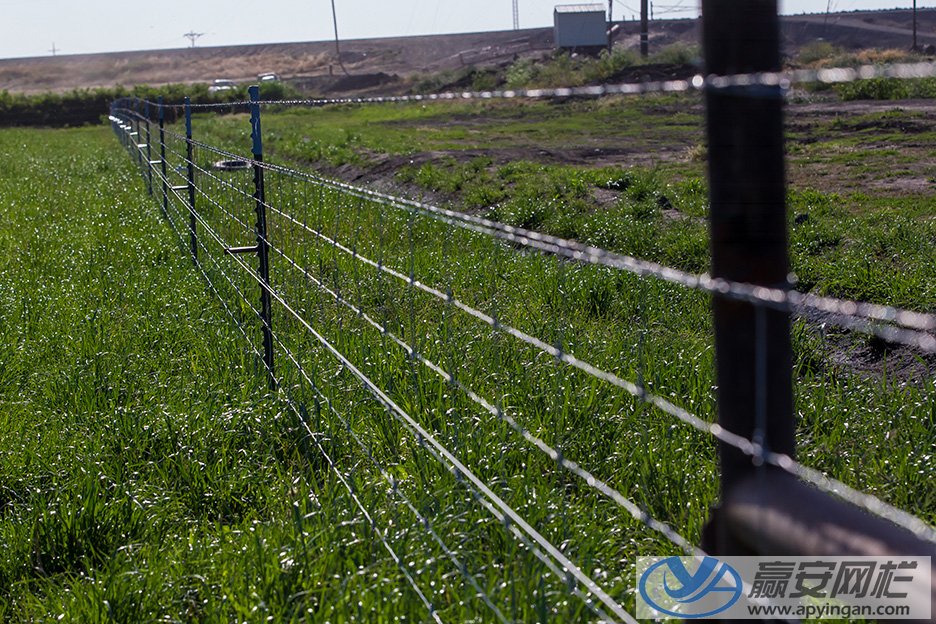 牛欄網山林護欄網 山林護欄網