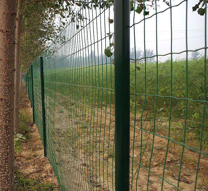 養(yǎng)殖護(hù)欄網(wǎng)