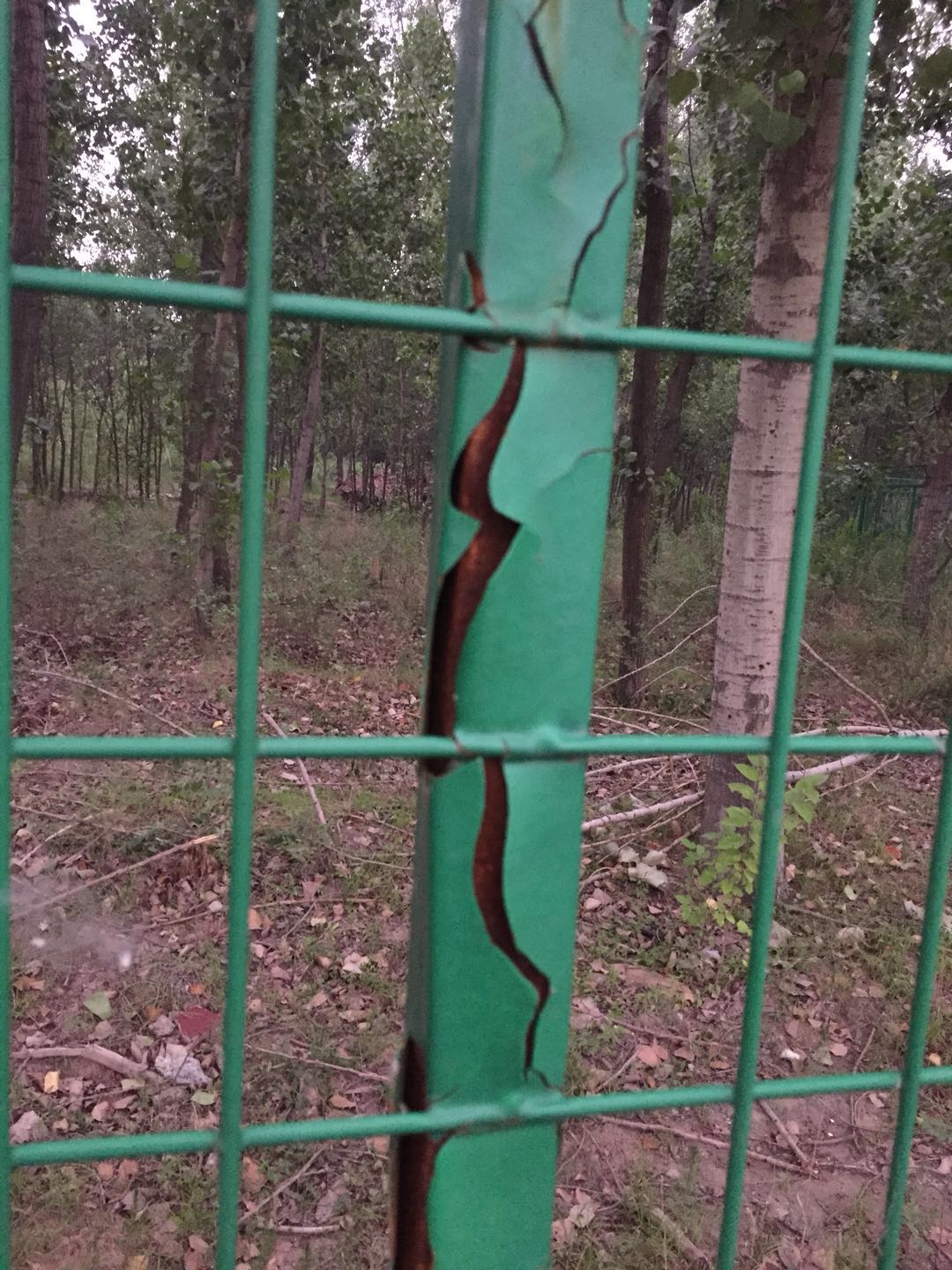 護欄網(wǎng)價格