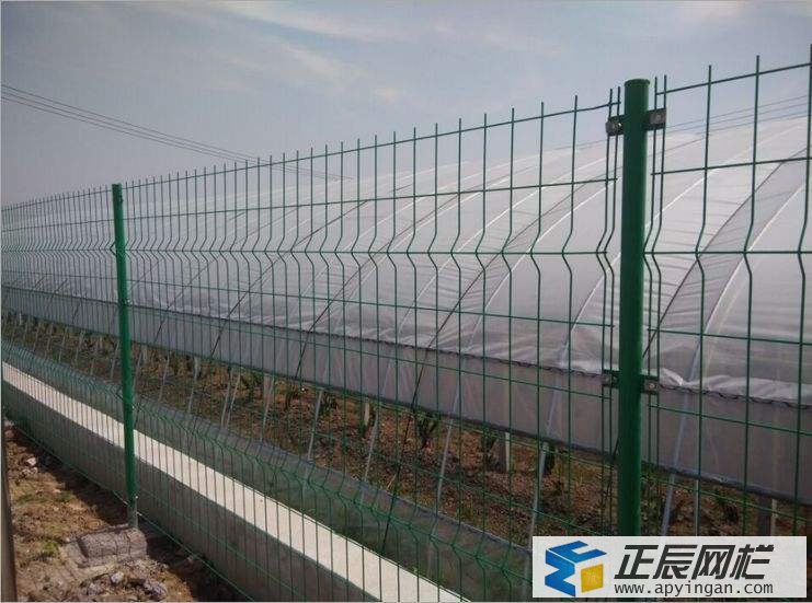 護欄網(wǎng)