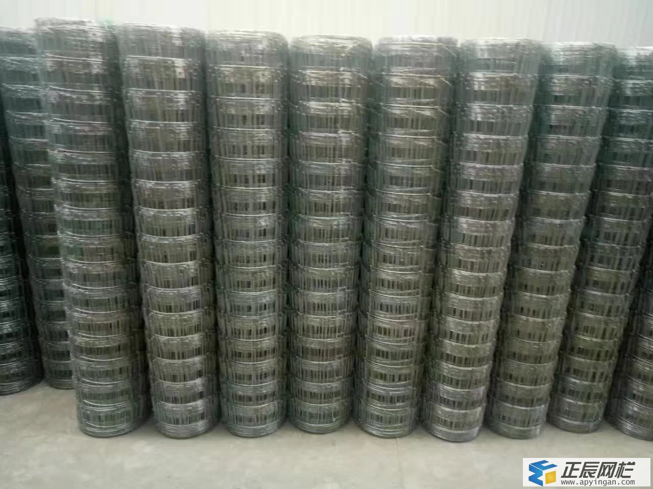 養(yǎng)鹿圍欄網(wǎng)