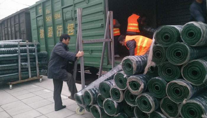 養(yǎng)雞護欄網(wǎng)