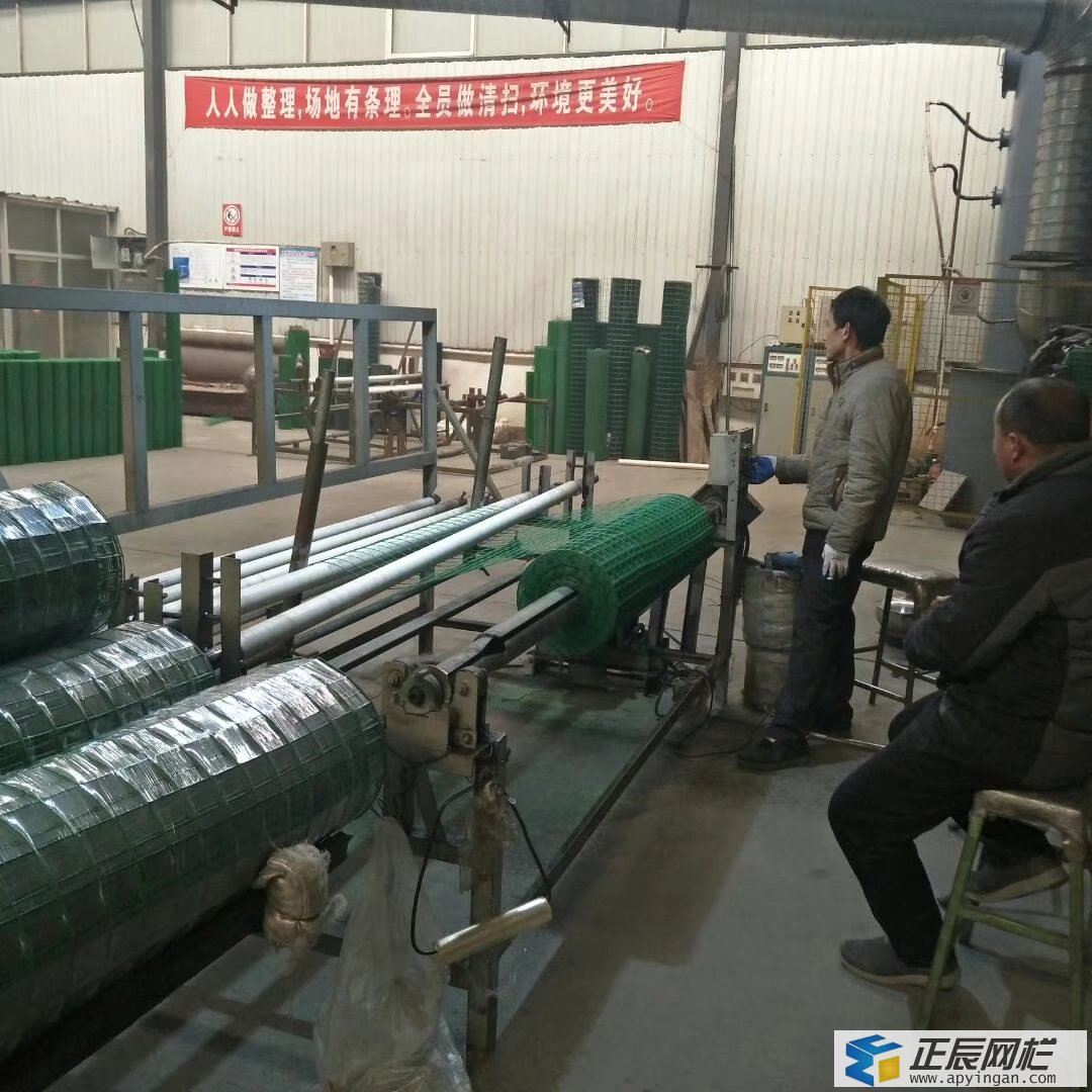 養(yǎng)雞護欄網(wǎng)