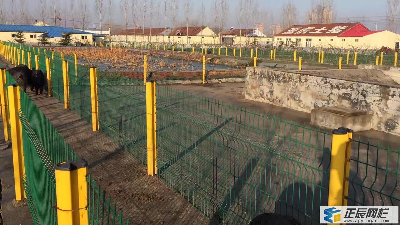 養(yǎng)豬場護欄網(wǎng) 護欄網(wǎng)價格