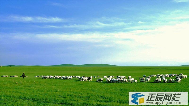 鐵絲護(hù)欄網(wǎng)