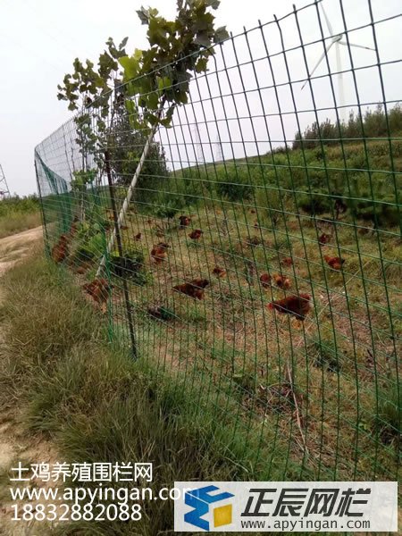 養(yǎng)殖場(chǎng)圍欄網(wǎng)