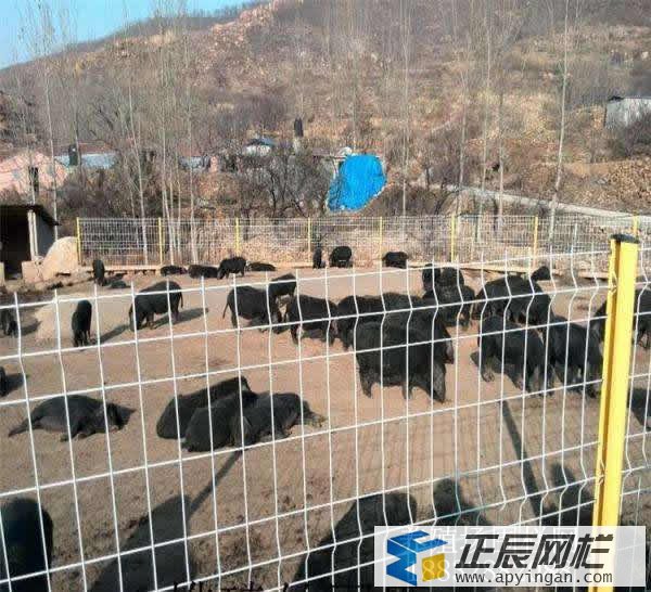 養(yǎng)殖場(chǎng)圍欄