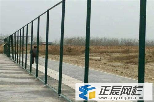 籃球場護(hù)欄網(wǎng)