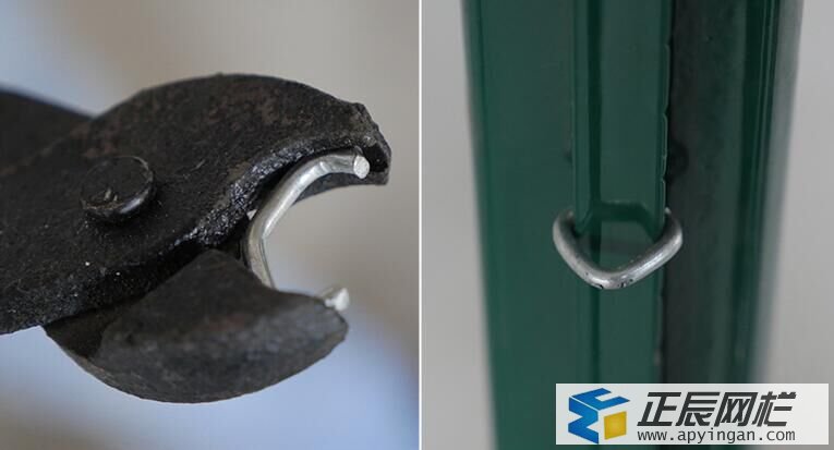 養(yǎng)殖場圍欄網(wǎng)