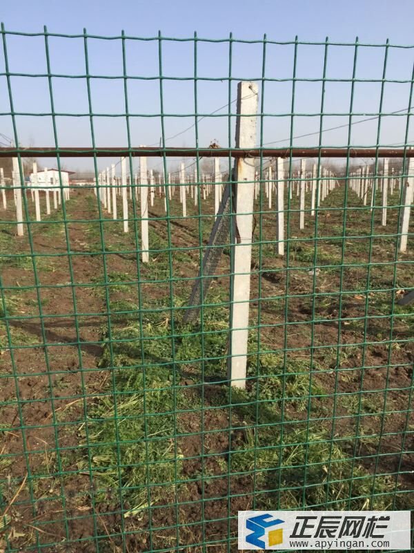 養(yǎng)殖場圍欄網(wǎng)