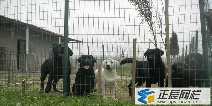 養(yǎng)殖場圍欄網(wǎng)