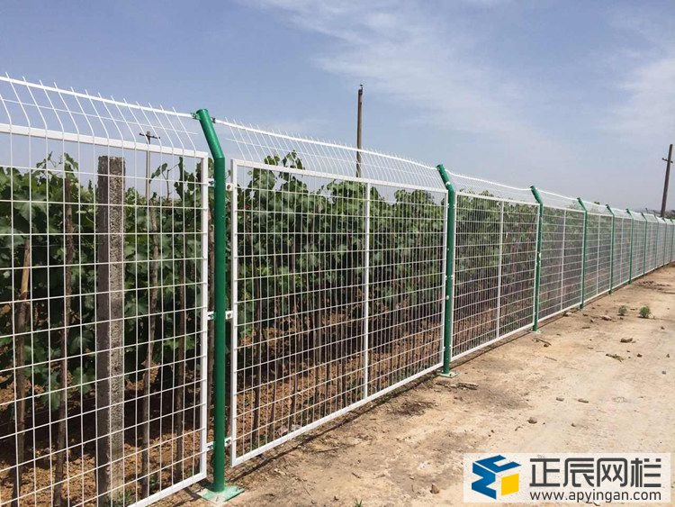 護(hù)欄網(wǎng)