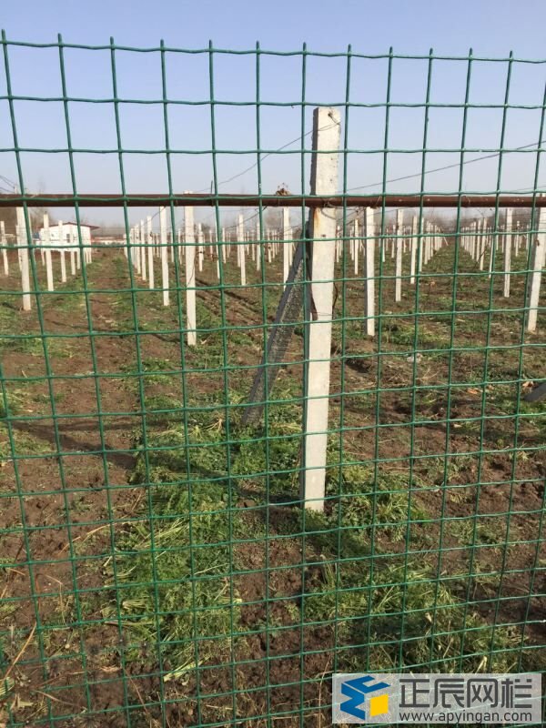 農(nóng)場和果園圍欄網(wǎng)