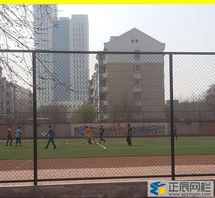 勾花護欄網(wǎng)在校園