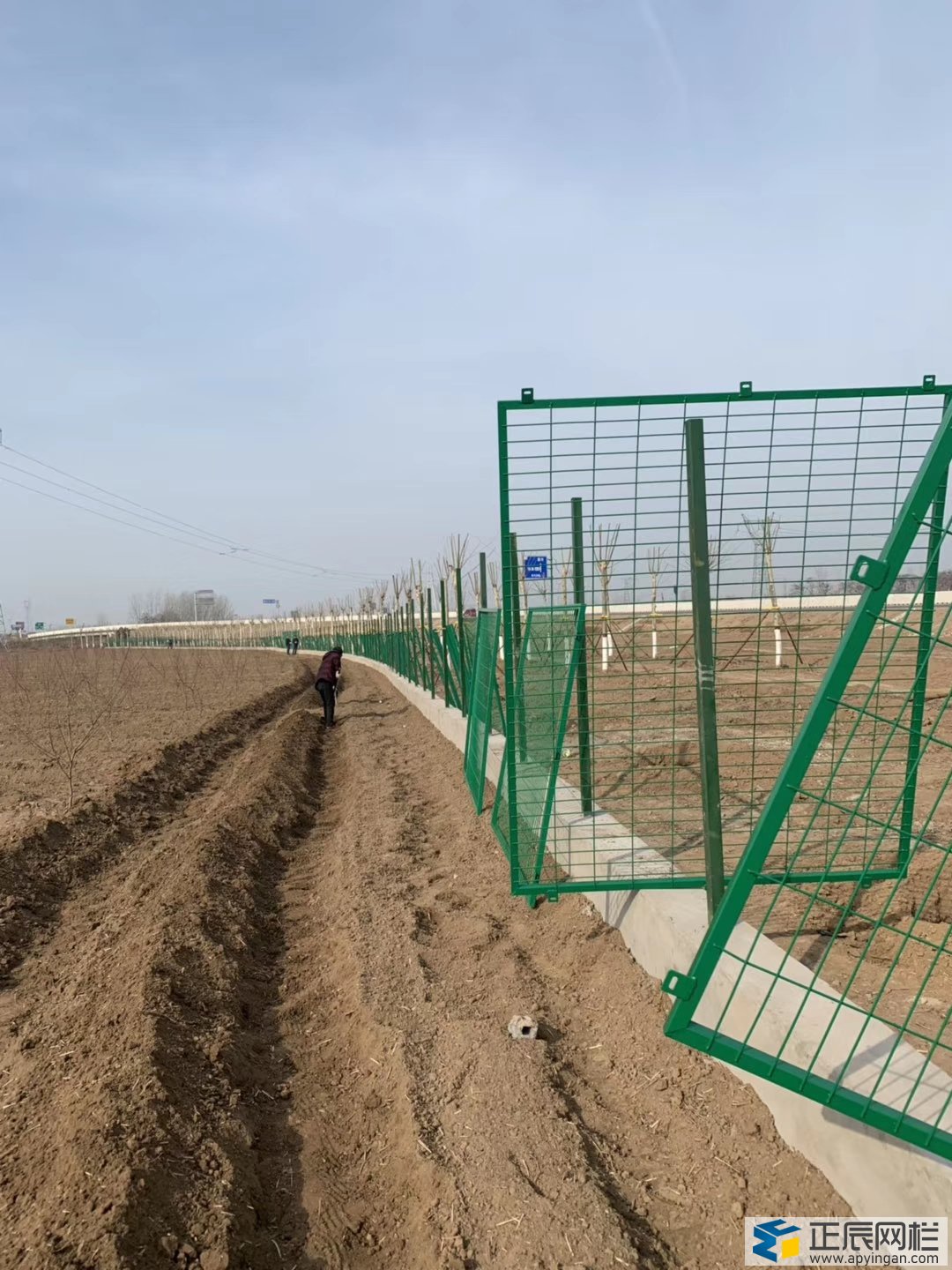 公園圍墻護欄網(wǎng)