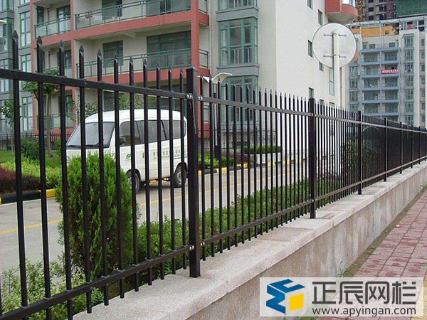 公園圍墻護欄網(wǎng)