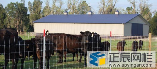 養(yǎng)殖護欄網(wǎng)哪家好