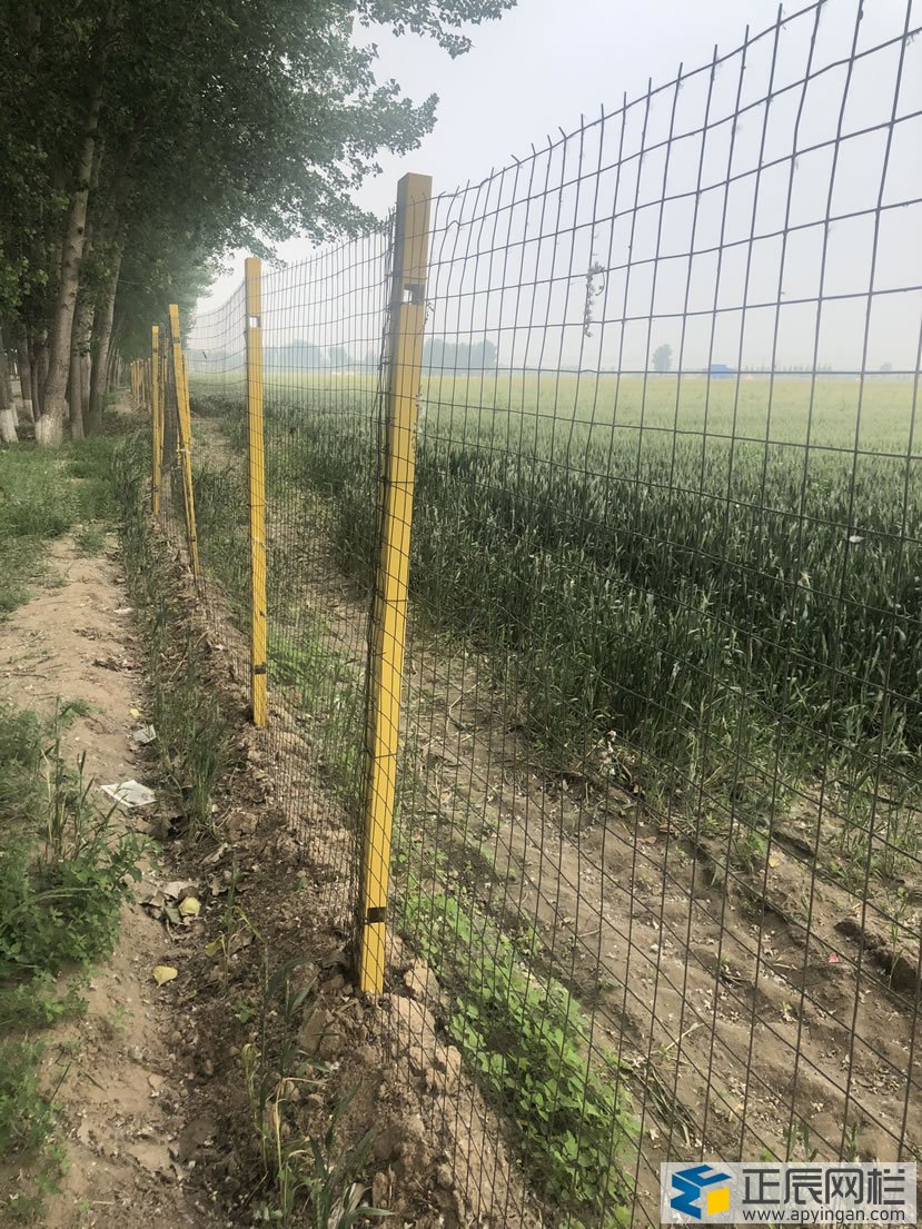 護欄網(wǎng)與玻璃鋼立柱的的結(jié)合