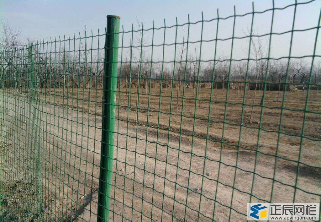 圈地護(hù)欄網(wǎng)