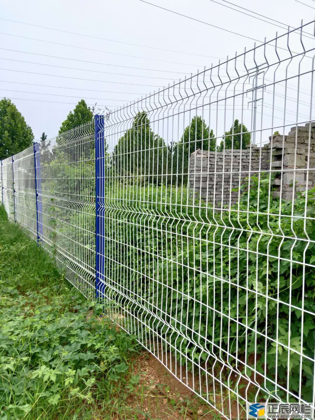 山東桃型柱護(hù)欄網(wǎng)