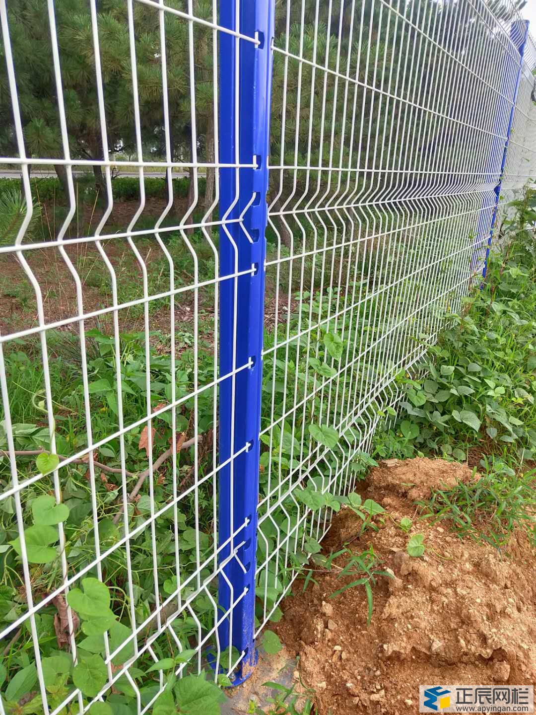 山東桃型柱護(hù)欄網(wǎng)