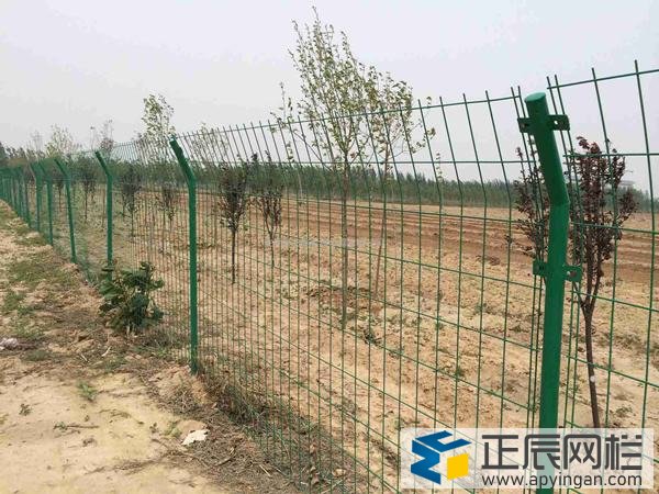 鐵絲網(wǎng)圍欄防護欄貼圖2