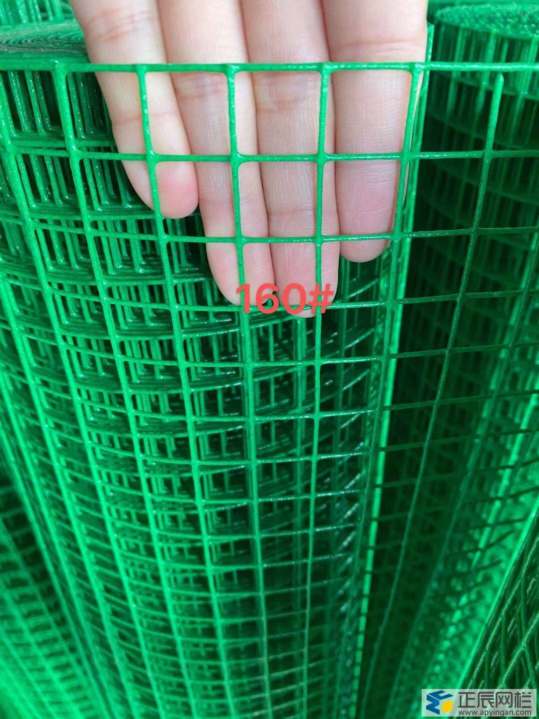 養(yǎng)雞護欄網(wǎng)