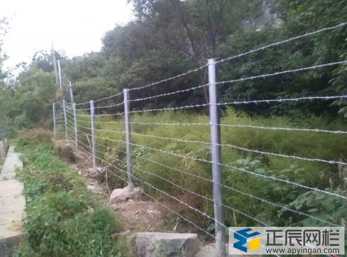 公路護(hù)欄網(wǎng)刺繩