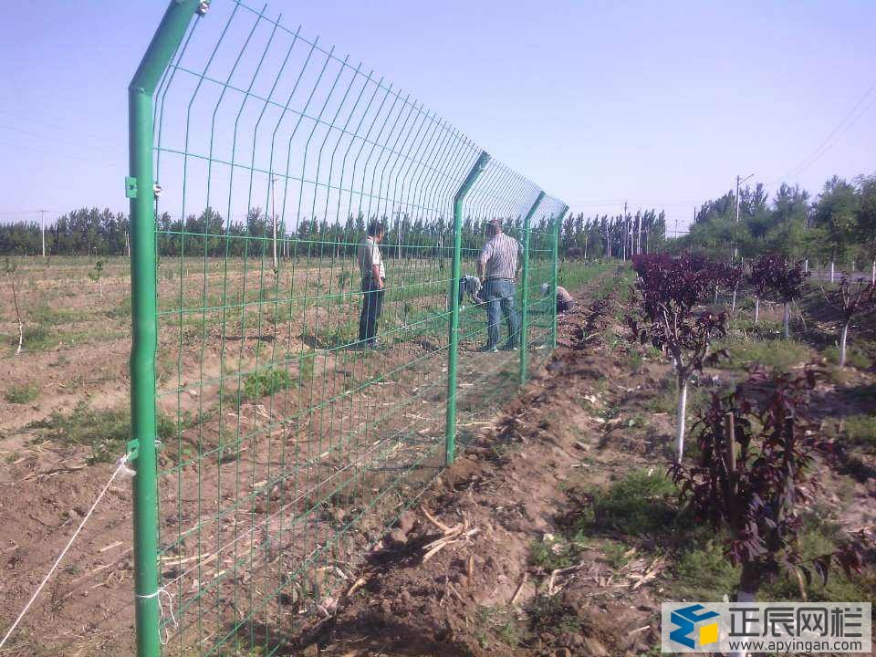 護(hù)欄網(wǎng)怎么樣