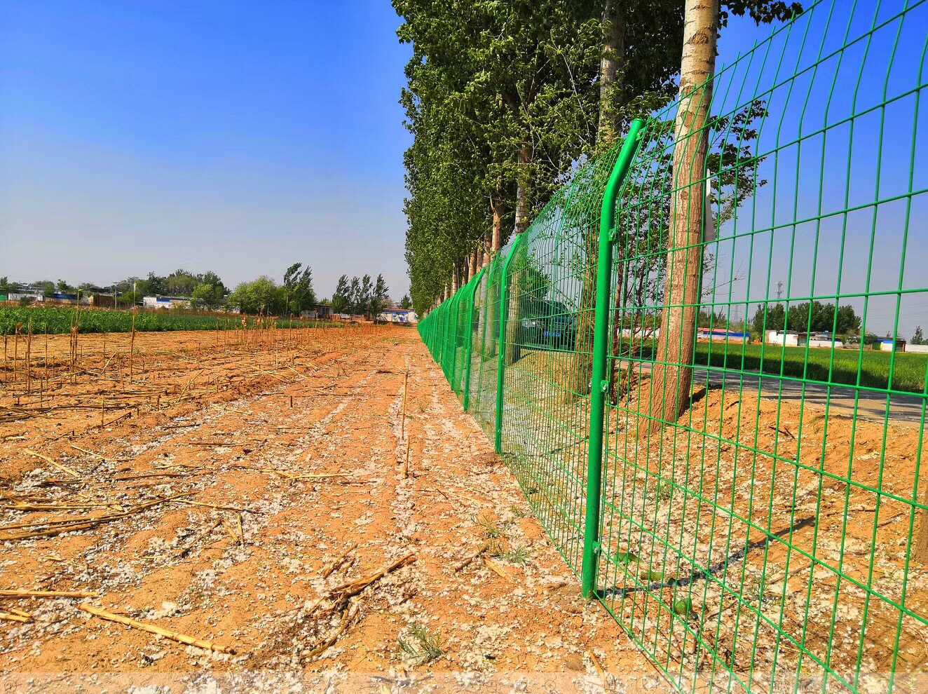 雙邊絲護(hù)欄網(wǎng)