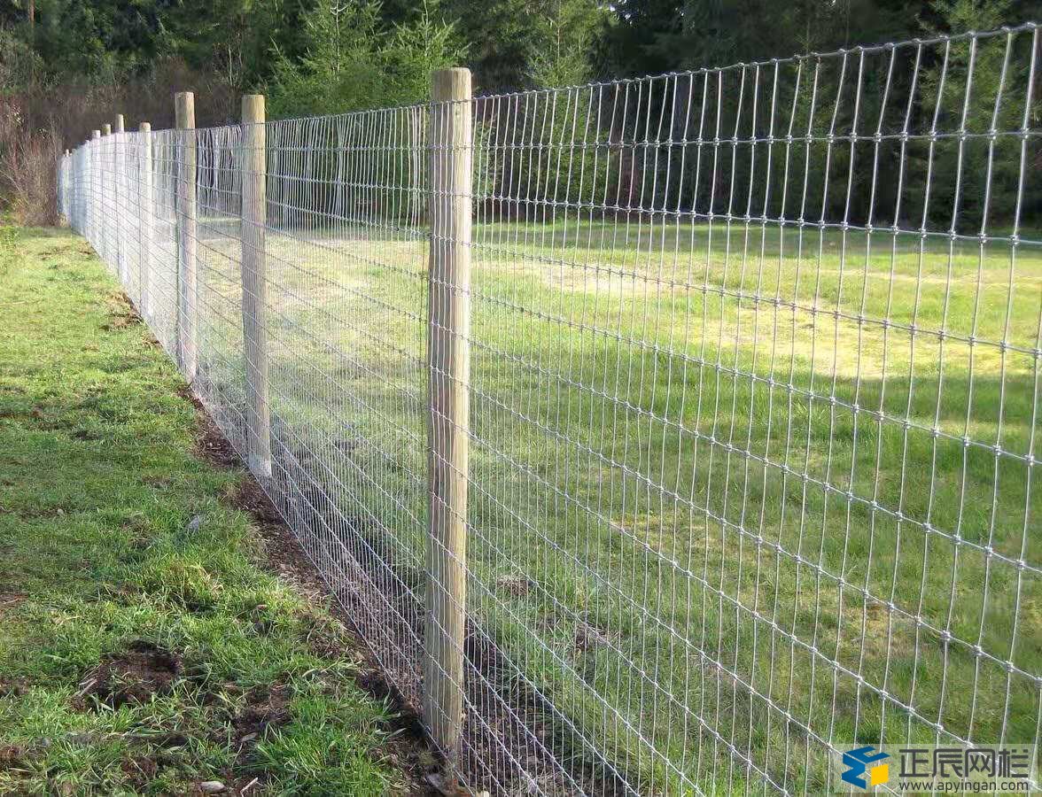 養(yǎng)殖專用圍網(wǎng)